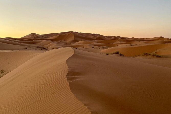 Merzouga Desert Quad bike Adventure with Sand boarding - Sandboarding, palms, and a cup of tea