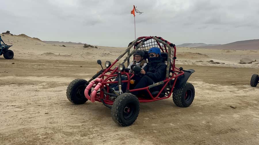 Mini Buggy GO KART in Paracas National Reserve - Key points before you book