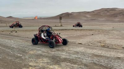 Mini Buggy GO KART in Paracas National Reserve