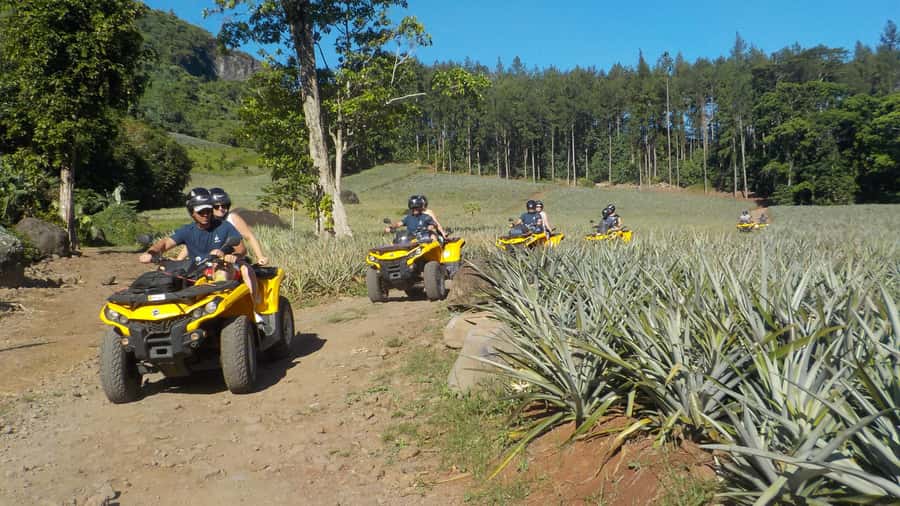 Mo'orea: Guided ATV Nature Tour - Key points to know before booking