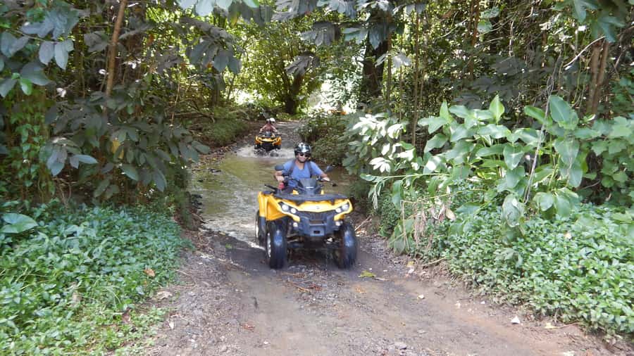 Mo'orea: Guided ATV Nature Tour - Riding through rivers, plantations, and pineapple fields