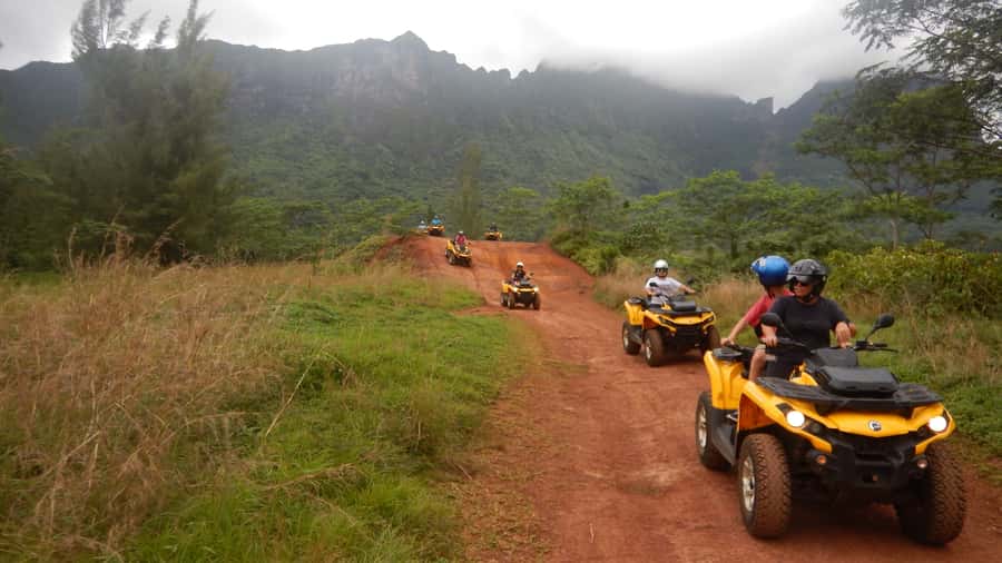 Mo'orea: Guided ATV Nature Tour - Pineapple country and the Rotui tasting stop