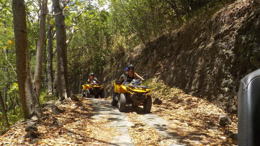 Mo'orea: Guided ATV Nature Tour - The return through fields to Opunohu Bay