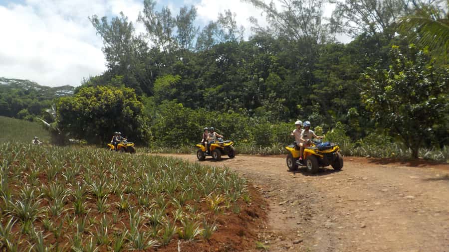 Mo'orea: Guided ATV Nature Tour - Starting at the Moorea Activities Center