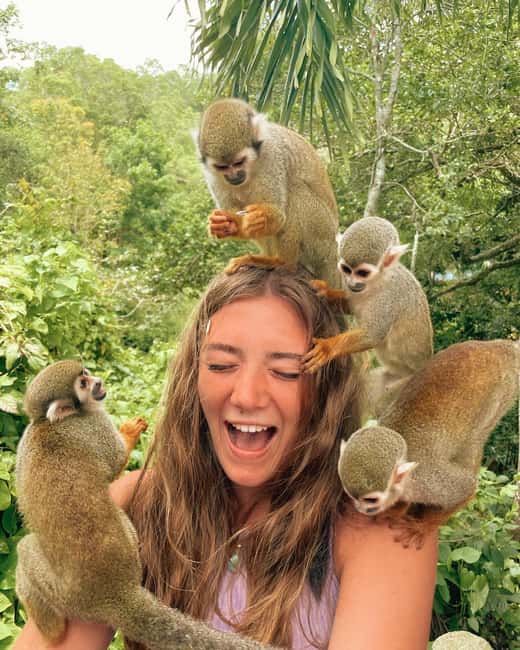 Monkey Encounter + ATV Riding Adventure – Puerto Plata - Riding an ATV through villages and sugarcane fields