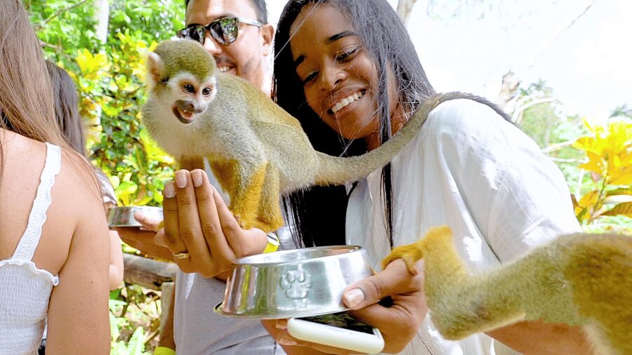 Monkey Encounter + ATV Riding Adventure – Puerto Plata - Who should choose this tour?