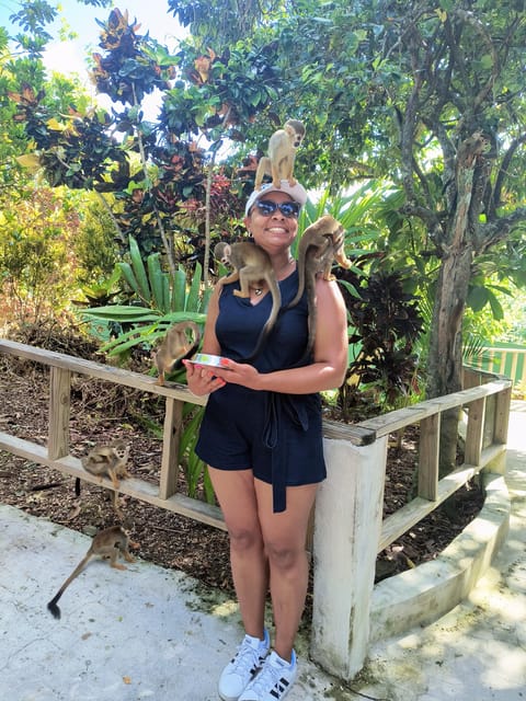 Monkey Encounter + ATV Riding Adventure – Puerto Plata - Practical booking advice for the day