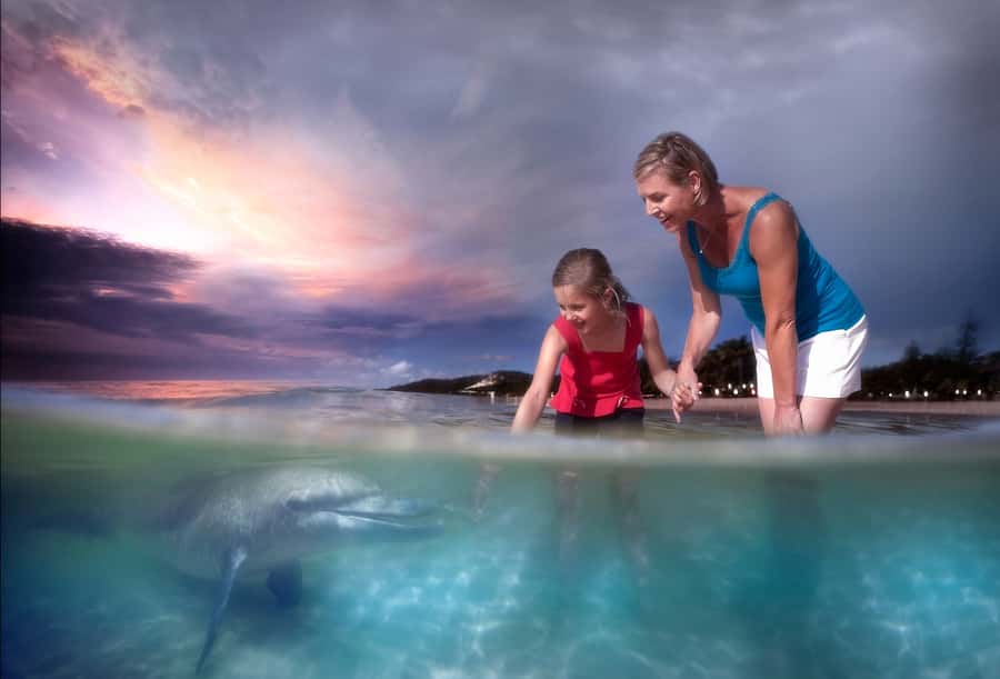 Moreton Island: Tangalooma ATV Quad Bike & Dolphin Feeding - Key points to know before you book