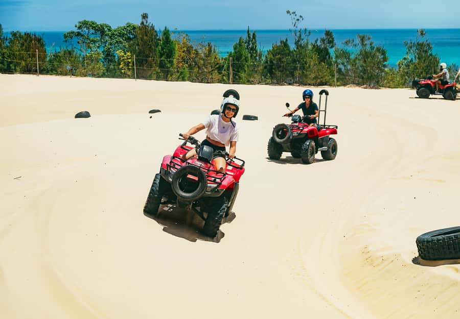 Moreton Island: Tangalooma ATV Quad Bike & Dolphin Feeding - An evening with Tangalooma’s wild dolphins