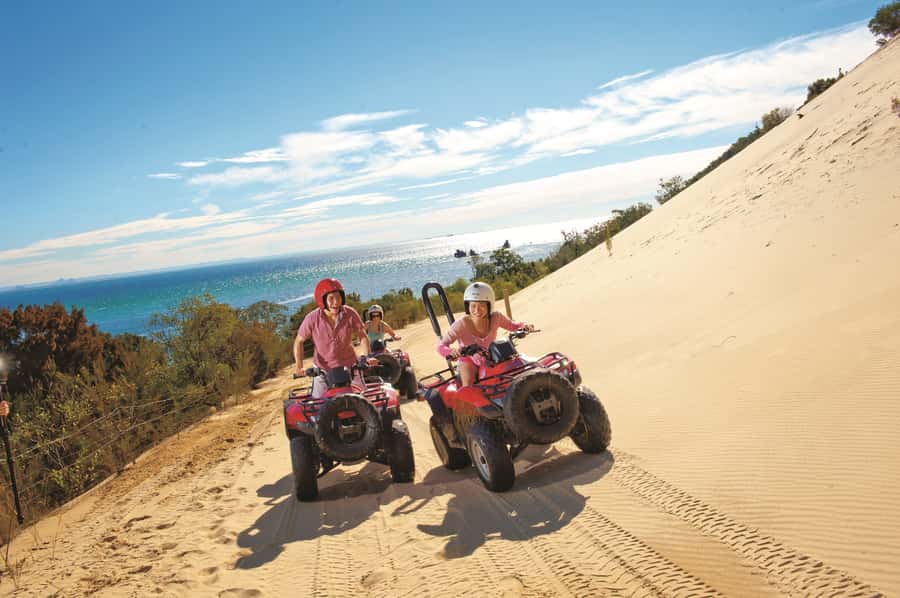 Moreton Island: Tangalooma ATV Quad Bike & Dolphin Feeding - Should you book the Moreton Island ATV and dolphin day?