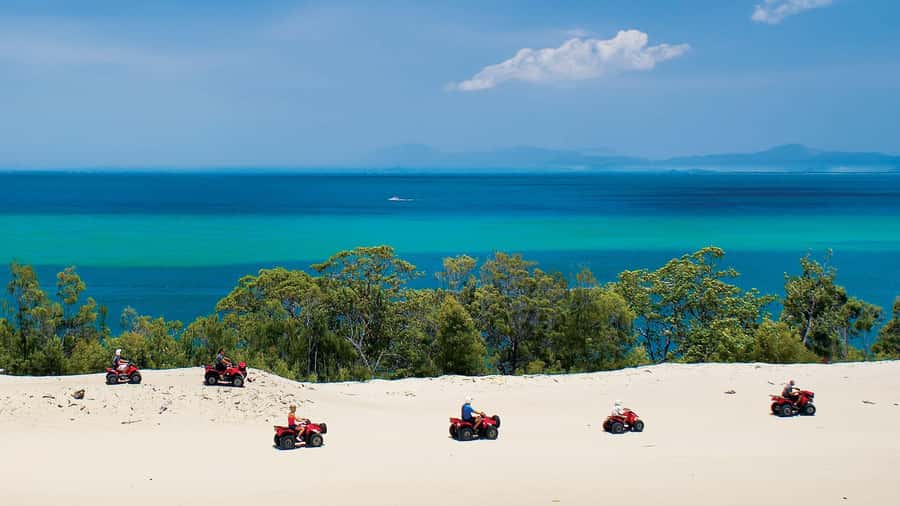 Moreton Island: Tangalooma Day Trip with ATV Quad Bike Tour - Practical details before you book