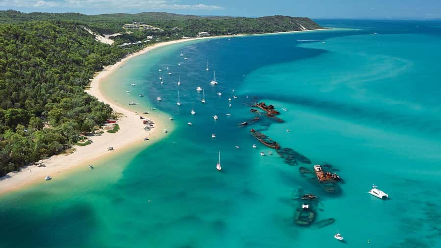 Moreton Island: Tangalooma Day Trip with ATV Quad Bike Tour - Wildlife programs add a quieter side to the day