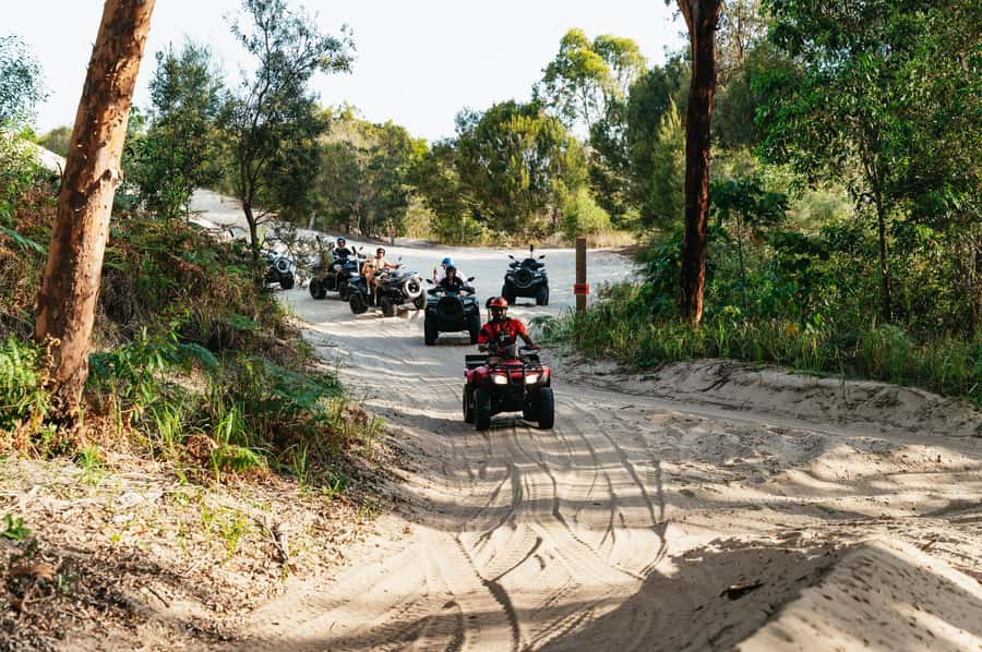 Moreton Island: Tangalooma Day Trip with ATV Quad Bike Tour - What the $119 price really buys
