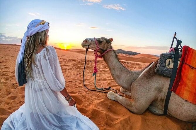 Morning Desert Safari with Quad Bike, Camel Ride & Sandboarding - Why this morning safari works well