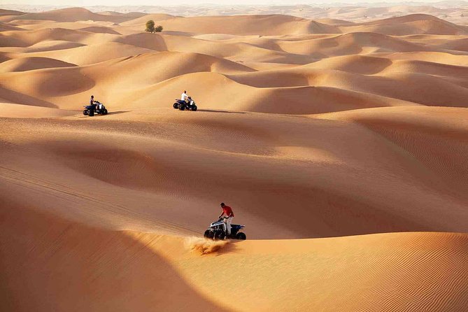 Morning Desert Safari with Quad Bike Tour Abu Dhabi - The 10-minute quad bike session