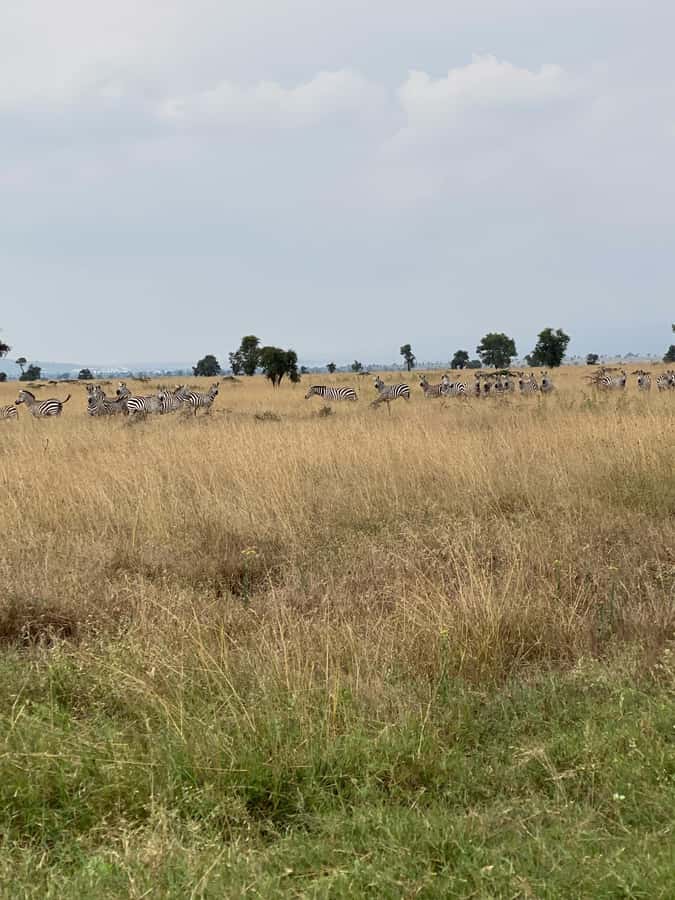 Nairobi: ATV/Quad Bike Wildlife Safari with Transfers & meal - Weather can change the whole character of the ride