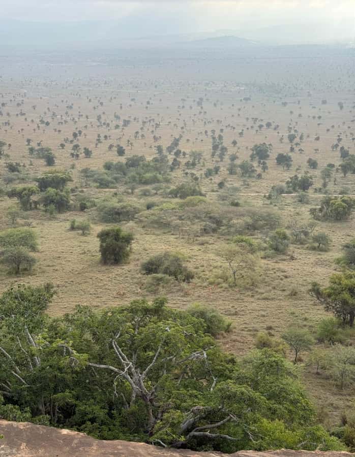 Nairobi: ATV/Quad Bike Wildlife Safari with Transfers & meal - Lunch beside the pool or in the garden
