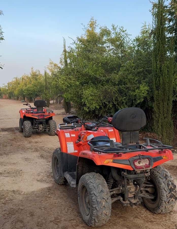 Nairobi: ATV/Quad Bike Wildlife Safari with Transfers & meal - Who should book this experience?