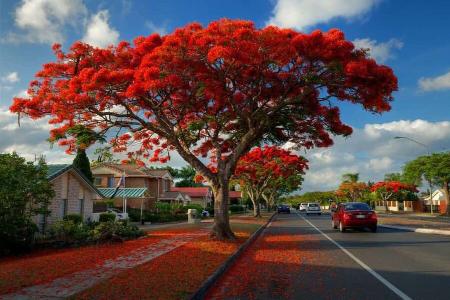 Nassau: ATV Guided Tour - Tea, Government House, and the pink side of Nassau