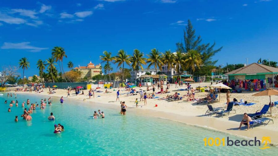 Nassau: Self Drive Speed Boat & Guided ATV Tour + Free Lunch - Switching From Roads To Open Water