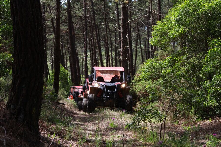 Nazaré: 4x4 Buggy Tour with Guide - Who should book this experience?