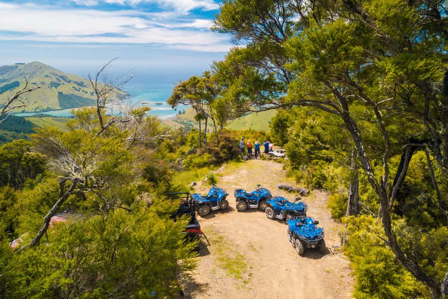 Nelson: Guided Quad Biking Tour Through Forest and Farmland - The 1.5-hour Farm Forest Ride