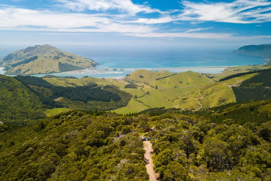 Nelson: Guided Quad Biking Tour Through Forest and Farmland - What the guides add to the ride