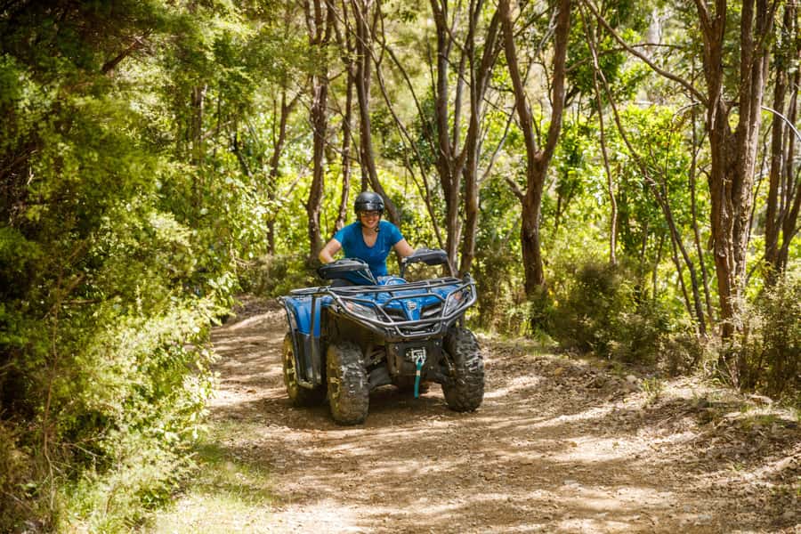 Nelson: Guided Quad Biking Tour Through Forest and Farmland - Forest, farm, river, and coast