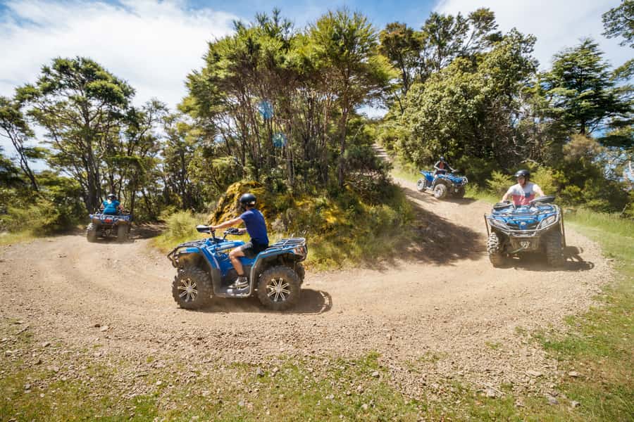 Nelson: Guided Quad Biking Tour Through Forest and Farmland - Is $80 good value?