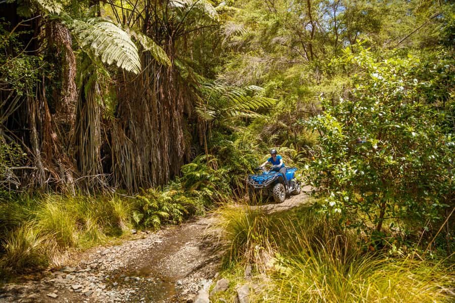 Nelson: Guided Quad Biking Tour Through Forest and Farmland - Who should book this Nelson quad bike tour?