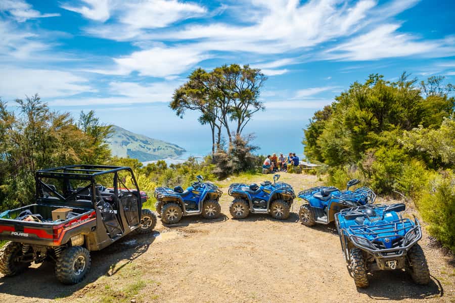 Nelson: Guided Quad Biking Tour Through Forest and Farmland - Practical details before you reserve