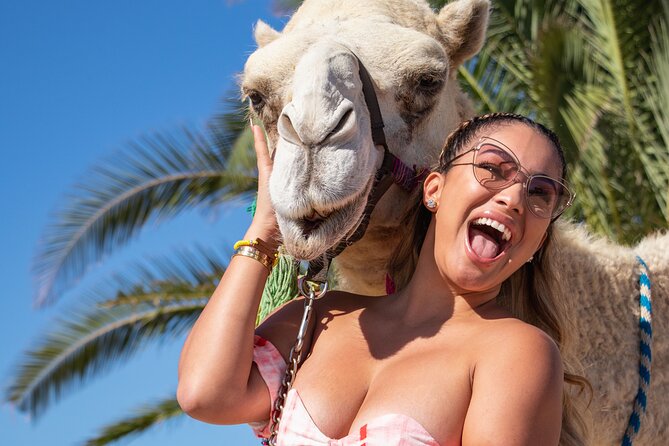 NEW! Combo Camel Beach Ride and UTV 4X4 Cabo Adventure, Tequila & - Two Baja adventures packed into one short outing