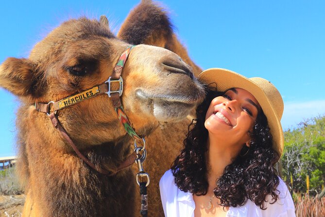NEW! Combo Camel Beach Ride and UTV 4X4 Cabo Adventure, Tequila & - Why the camera rule matters