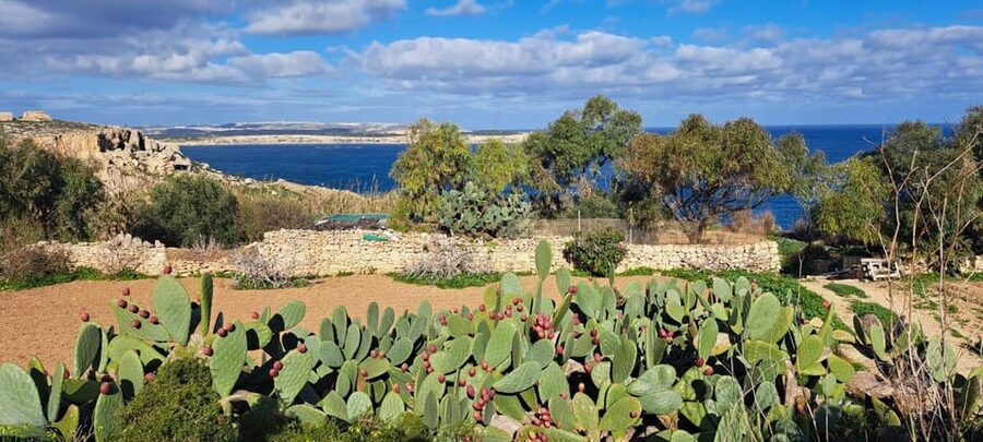 North Malta: Quad Bike Tour with Scenic Land, Sea & Swimming - Armier Bay brings the swim break