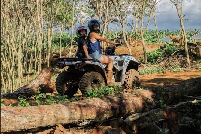 Oahu Beachfront ATV Adventure and Farm Tour - How the pace affects the experience