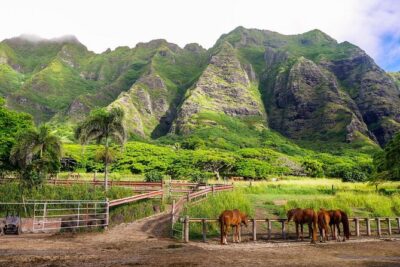 Oahu: Kualoa Ranch UTV Raptor Tour
