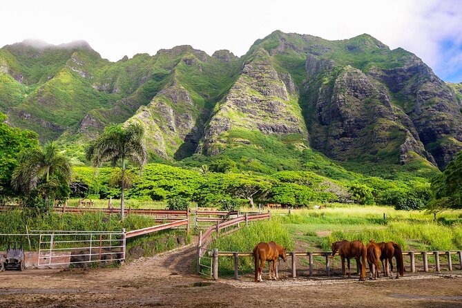 Oahu: Kualoa Ranch UTV Raptor Tour - What the UTV driving feels like