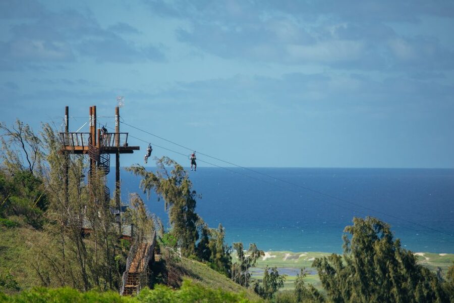 Oahu: North Shore Zip Line Adventure with ATV and Farm Tour - How much value you get for $251