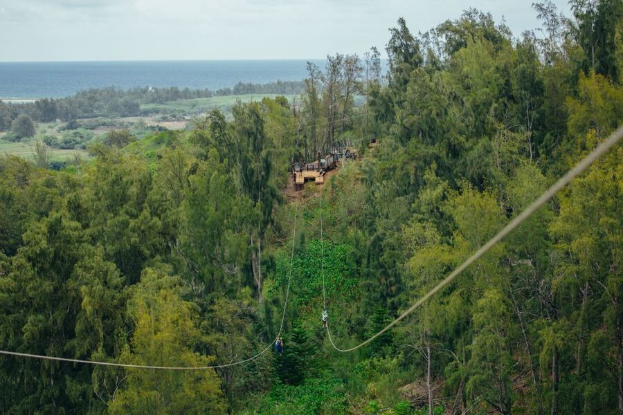 Oahu: North Shore Zip Line Adventure with ATV and Farm Tour - Who should book this experience