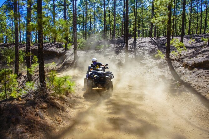 Off-Road Quad Tour from Woodlands to Volcanic Heights - From Santiago del Teide to the volcanic heights