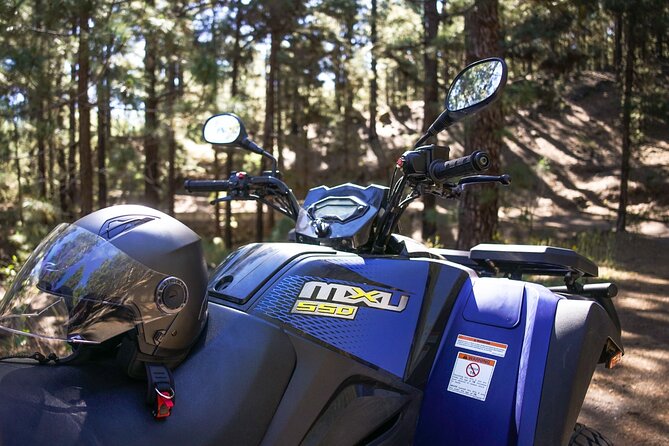 Off-Road Quad Tour from Woodlands to Volcanic Heights - Reaching Teide National Park