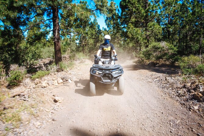 Off-Road Quad Tour from Woodlands to Volcanic Heights - A scenic route, not a racing session