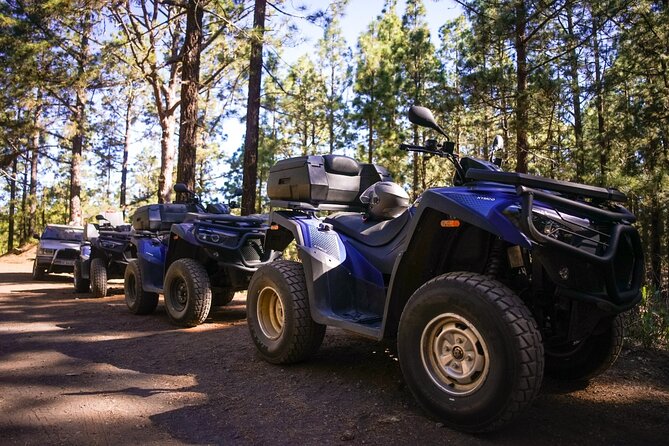 Off-Road Quad Tour from Woodlands to Volcanic Heights - Who will enjoy this Tenerife quad tour