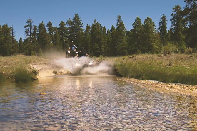 One Hour Guided ATV Ride in Utah - What this ATV ride is really like