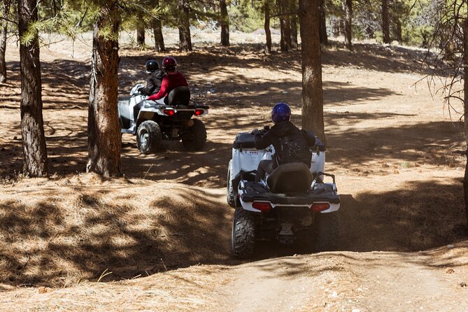 One Hour Guided ATV Ride in Utah - Riding the rough trails