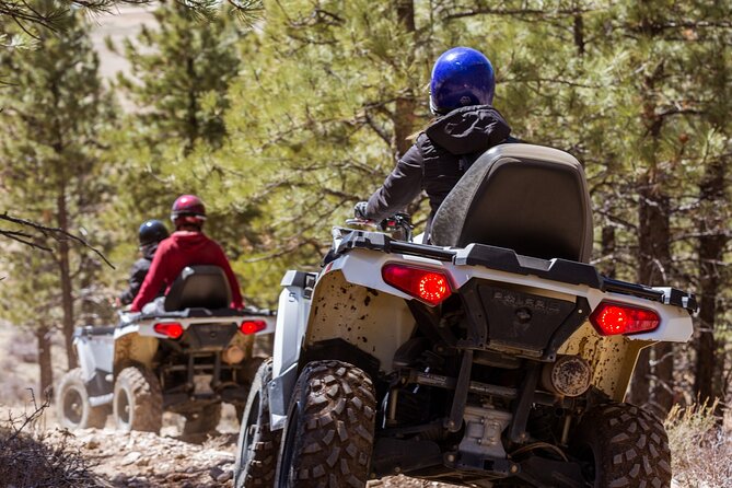 One Hour Guided ATV Ride in Utah - Wildlife adds a welcome surprise