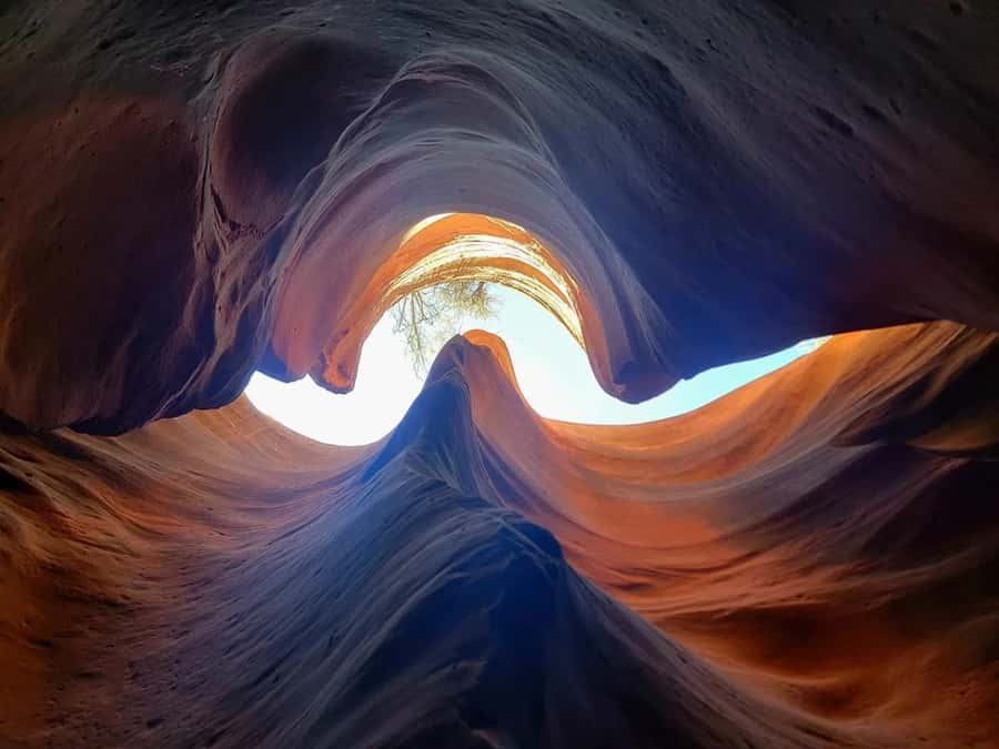 Orderville: East Zion Slot Canyons Award-Winning UTV Tour - A Short UTV Ride Into East Zion