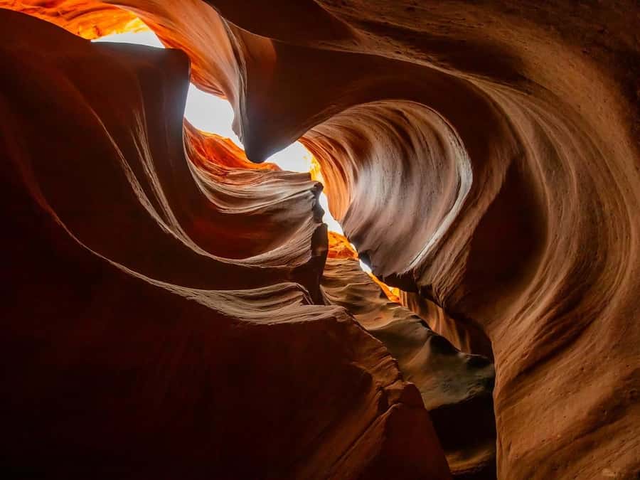 Orderville: East Zion Slot Canyons Award-Winning UTV Tour - What the Guides Add to the Experience