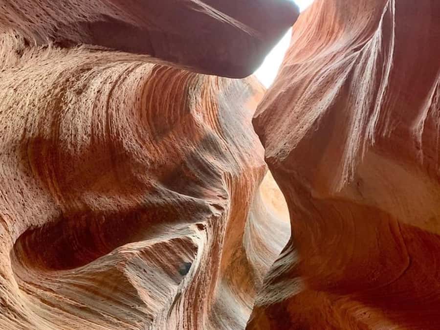 Orderville: East Zion Slot Canyons Award-Winning UTV Tour - Who Should Book This East Zion Tour?