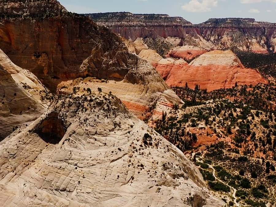 Orderville: East Zion Slot Canyons Award-Winning UTV Tour - Should You Book the Red Cave UTV Tour?